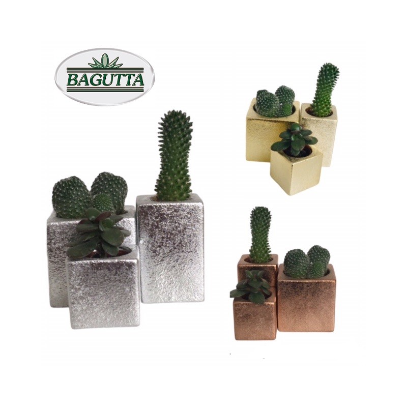 Mini Vasetti per Piante Grasse, Fiori e Cactus, Decorazione Tavola